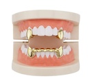 2 upper single canines+ lower canine set